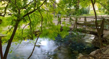 Parque Landa que incluye un parque, un río o arroyo y un puente