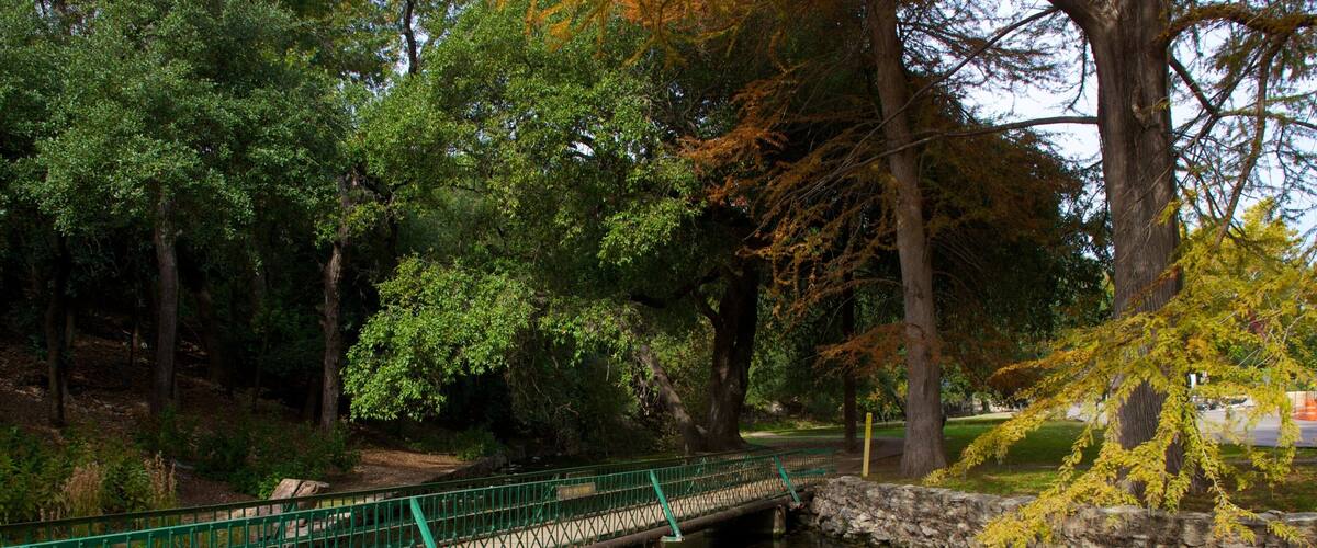 Landa Park which includes a bridge, forest scenes and landscape views