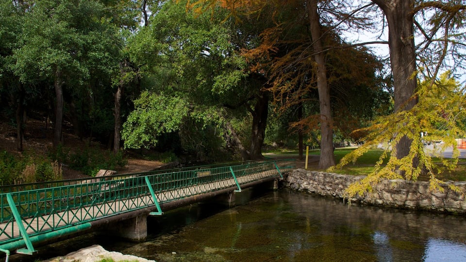 Scenic view of Landa Park highlighting its charming bridge over the tranquil waters