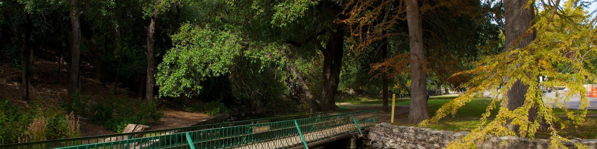 Scenic view of Landa Park highlighting its charming bridge over the tranquil waters