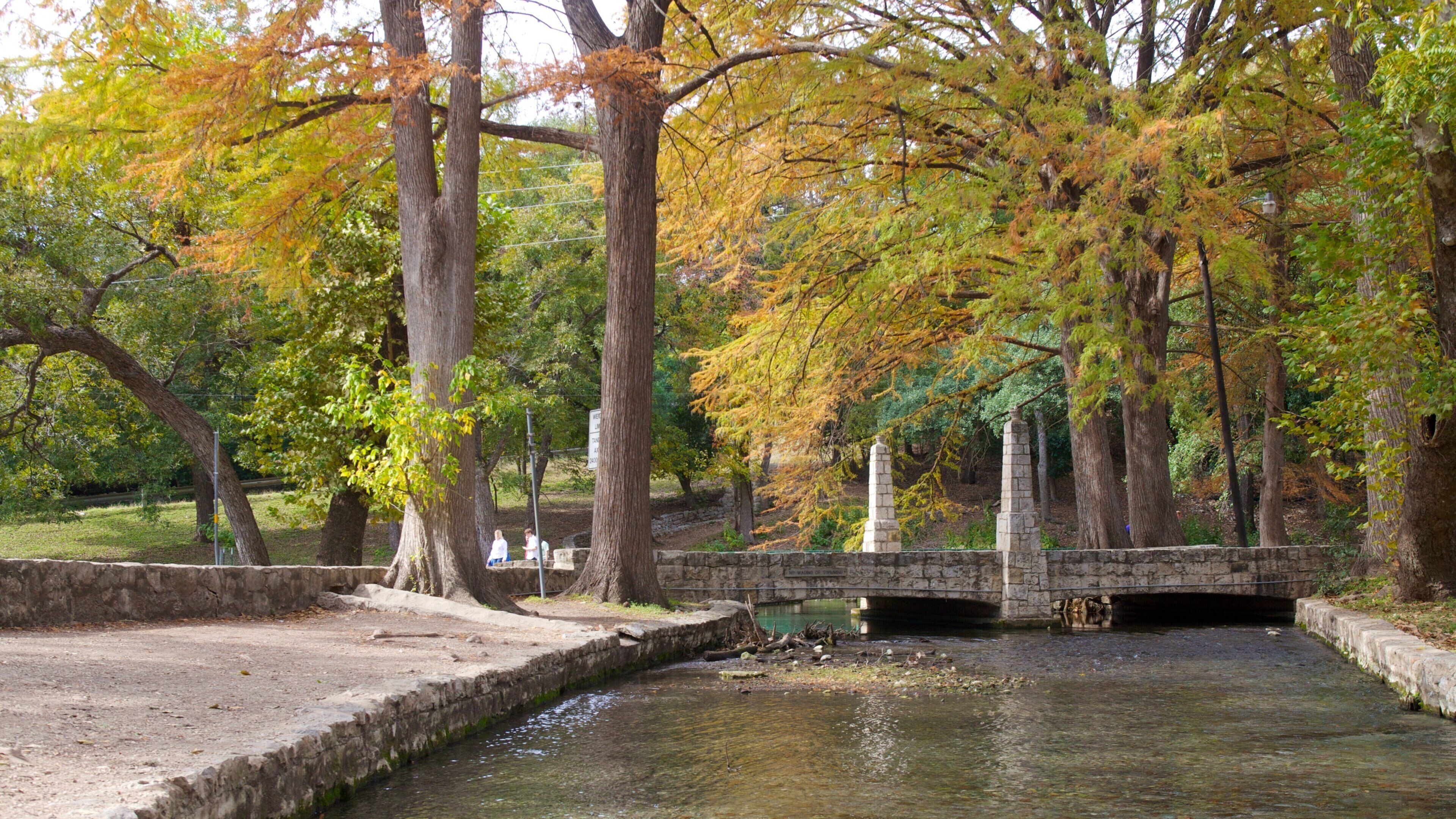 Fall colors reflect in the tranquil waters of Landa Park in New Braunfels, Texas, inviting visitors to explore nature's beauty