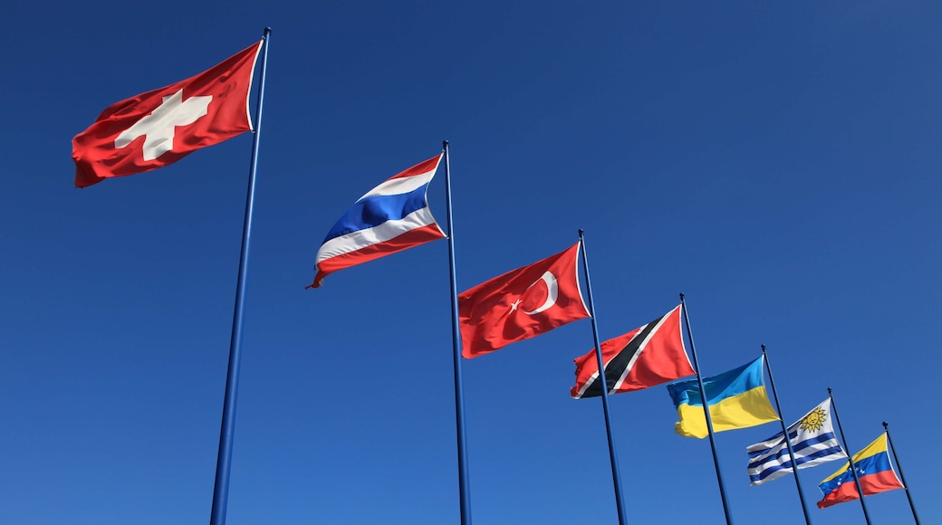 Flaggen international