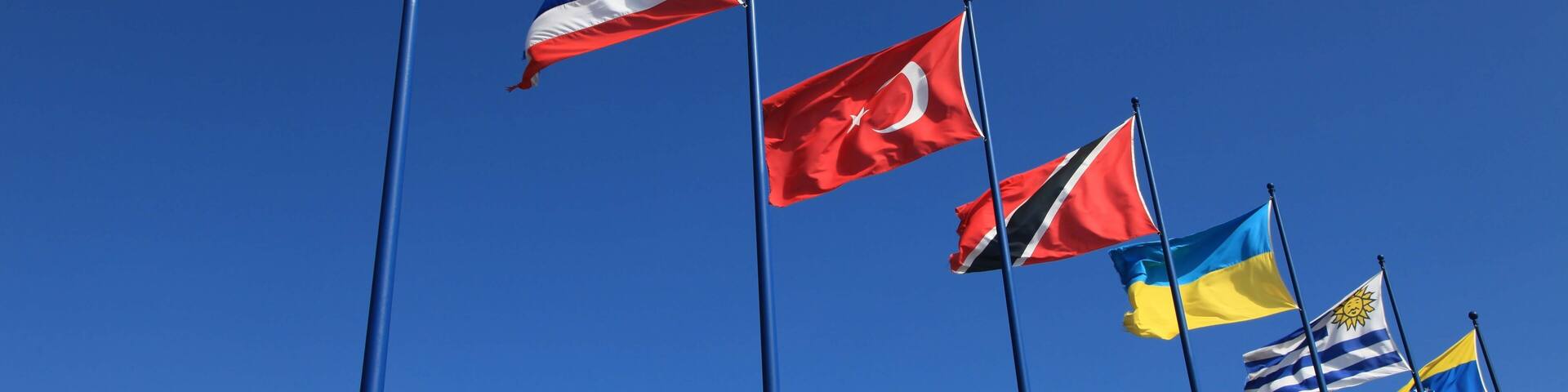 Flaggen international