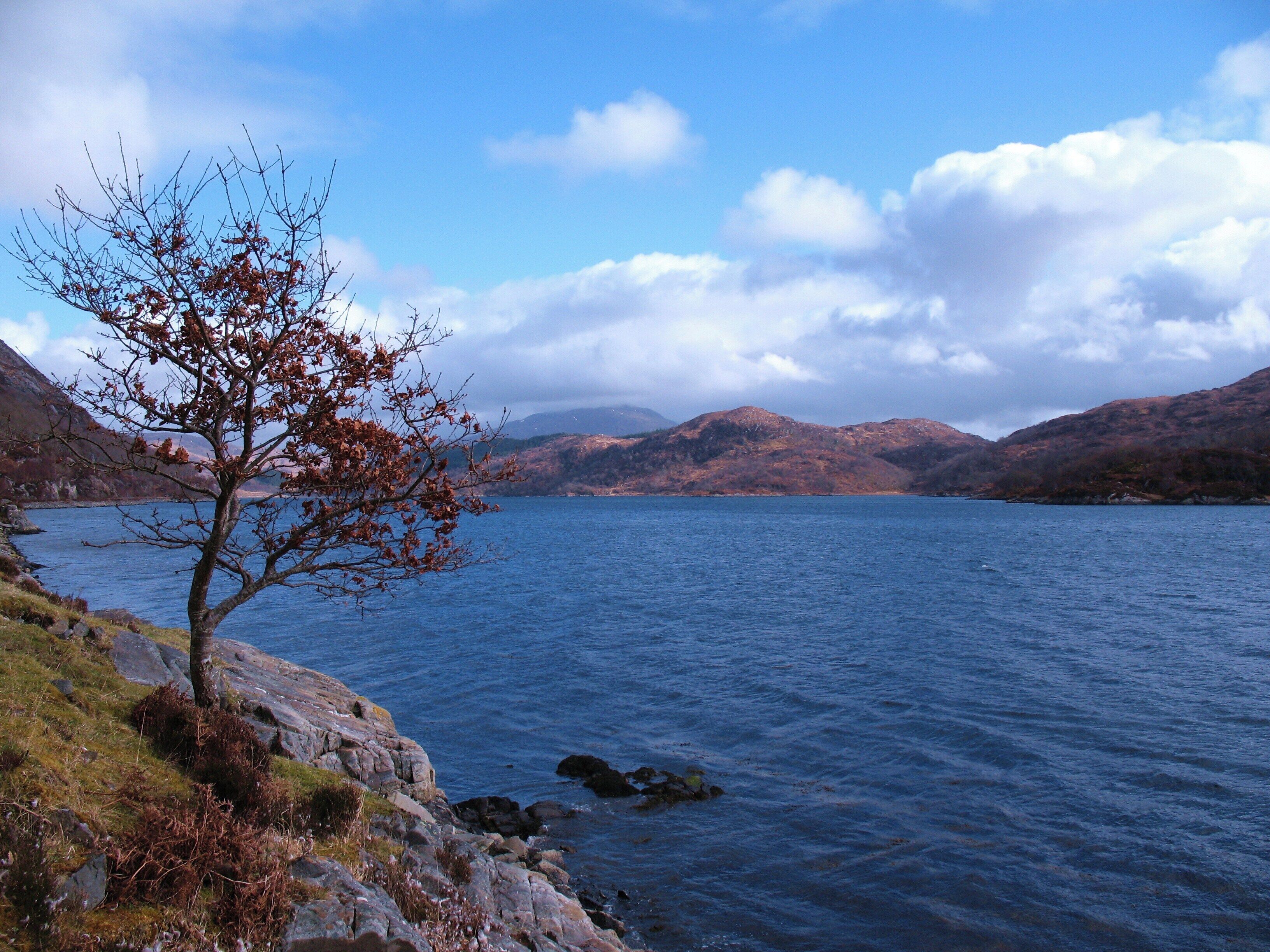 Loch Moidart The sheltered sea inlet of Loch Moidart at high tide.
