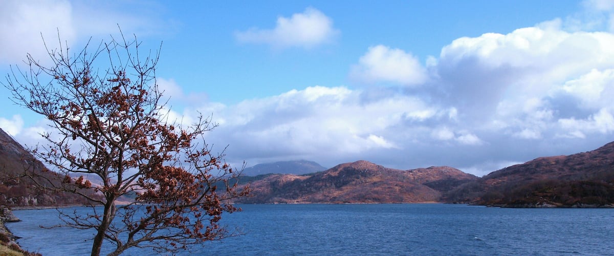 Loch Moidart The sheltered sea inlet of Loch Moidart at high tide.