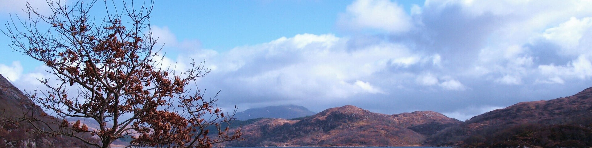 A lake with a tree on the left and mountains in the background.