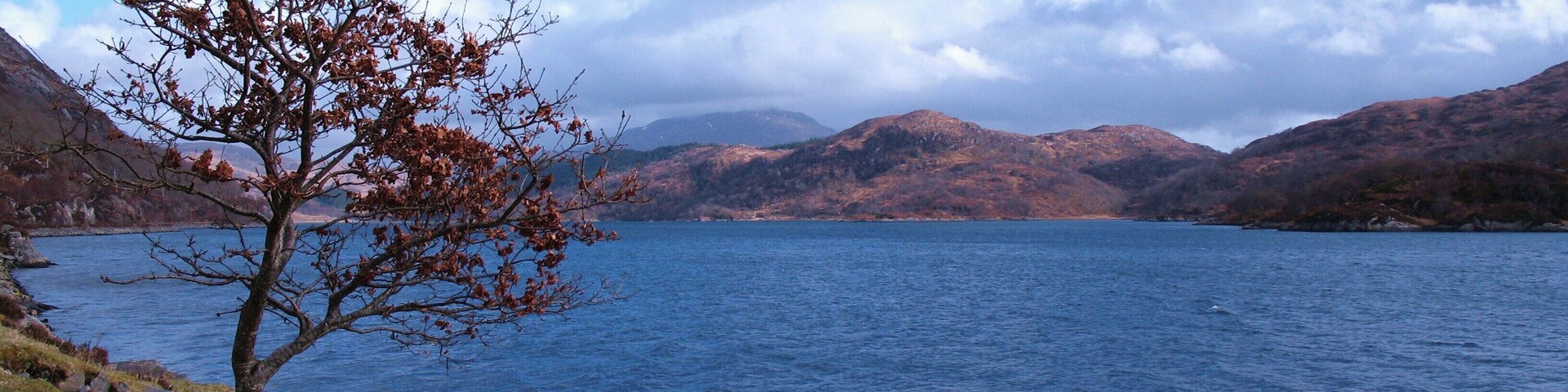 Loch Moidart The sheltered sea inlet of Loch Moidart at high tide.