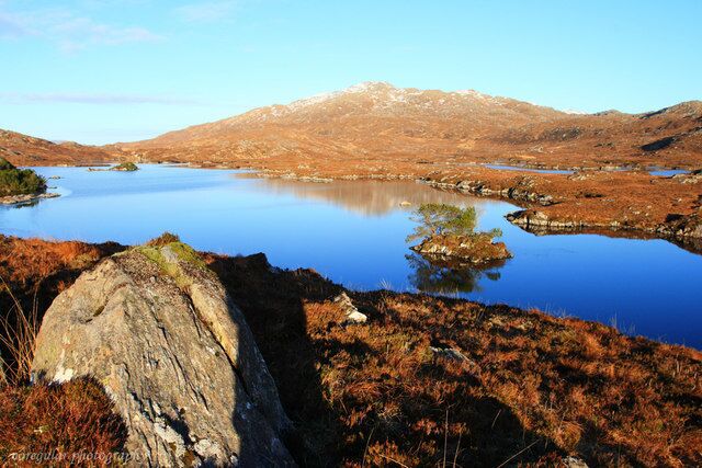 A lake surrounded by mountains and sparse vegetation.