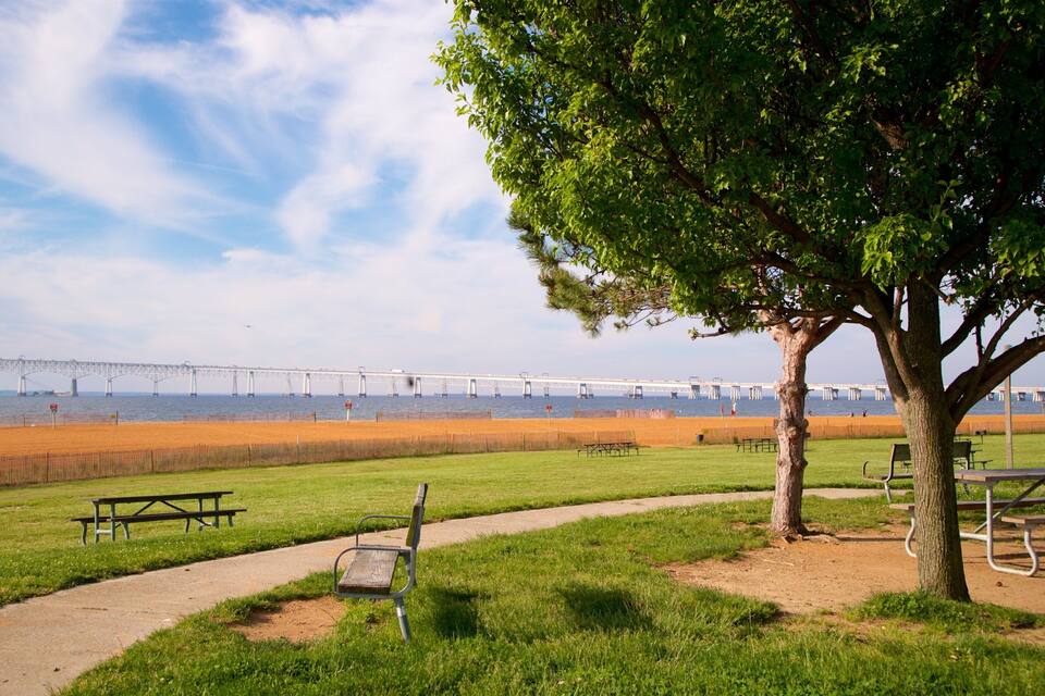 A park with a walking path, picnic tables, and a large tree. In the background, there is a bridge over a body of water.
