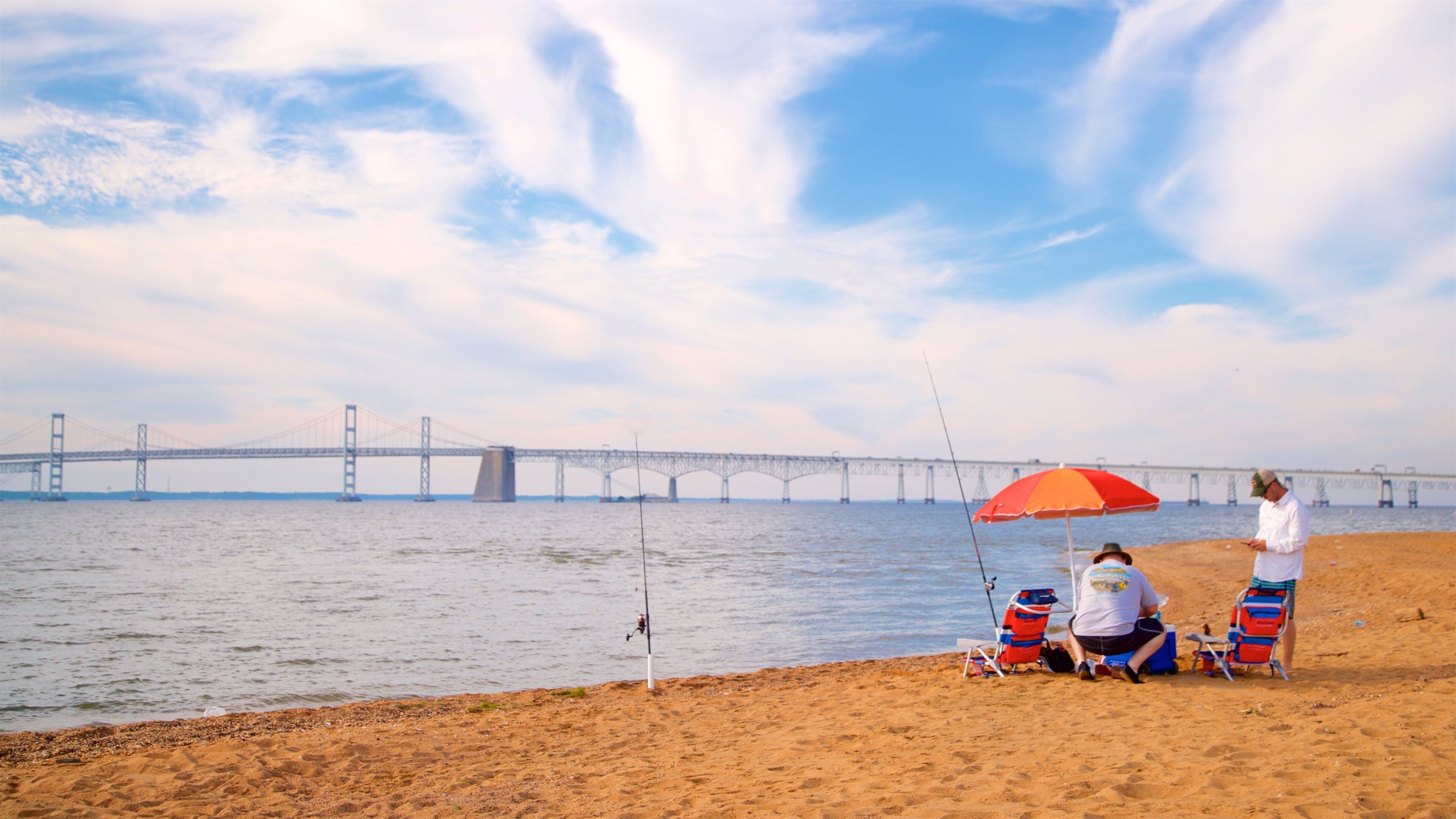 Sandy Point State Park showing a bridge, a sandy beach and fishing