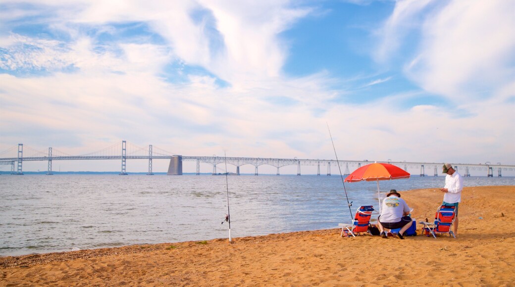 Sandy Point State Park showing a bridge, a sandy beach and fishing