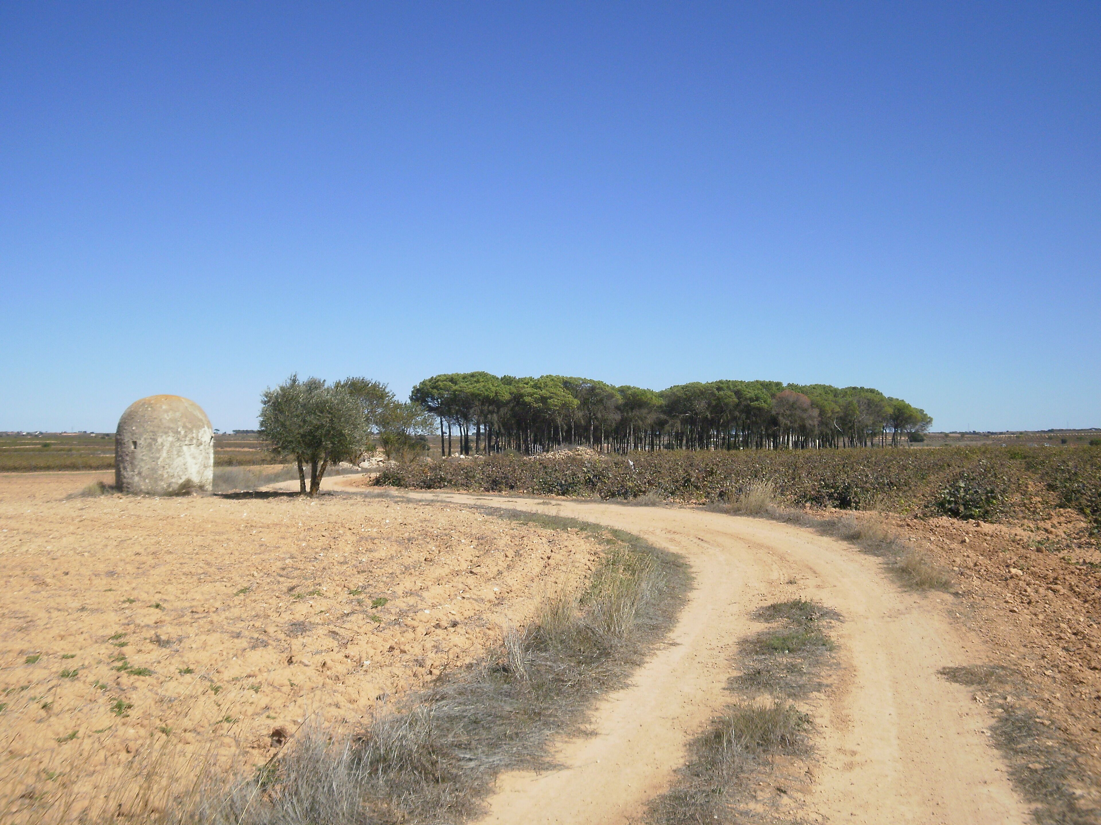 Un camino de tierra serpentea por un paisaje seco con poca vegetación y una gran estructura de piedra a la izquierda.