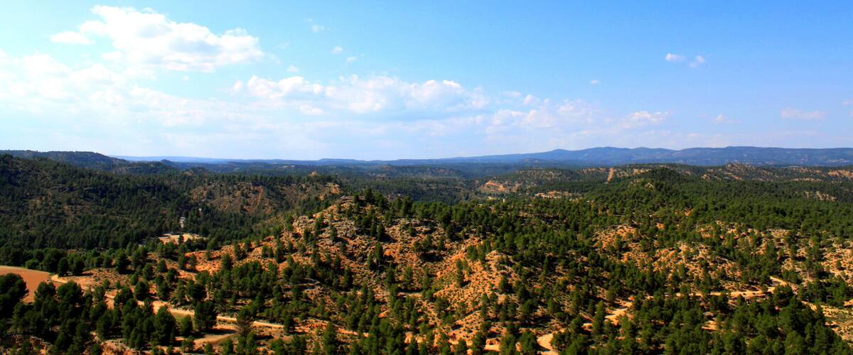 A mountainous landscape with dense forests and clear blue skies.