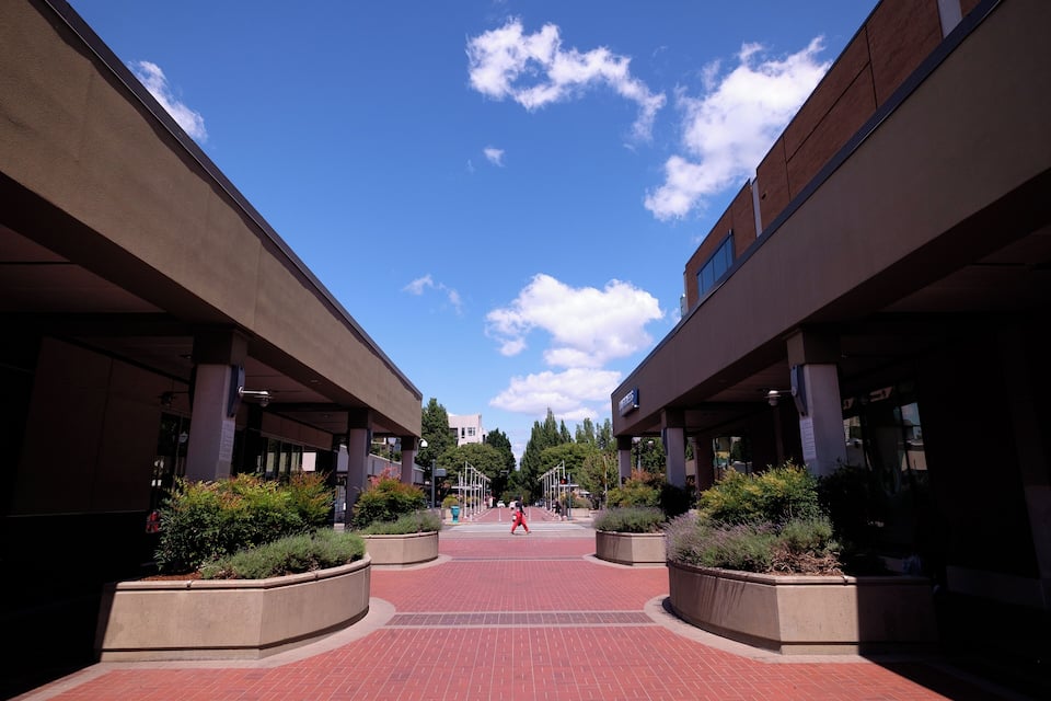 A red brick pathway flanked by modern buildings with planters and trees.