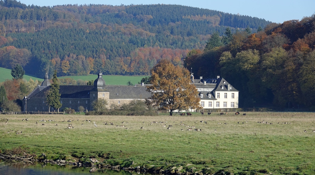 ์๊ฒ์คํค๋ฅดํจ