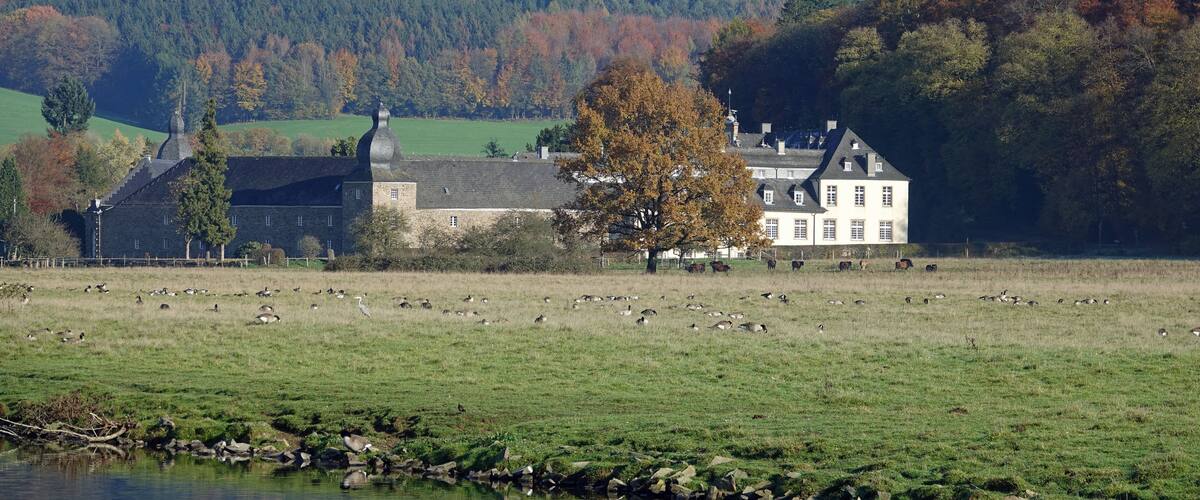 A large estate with a pond, surrounded by a field and a forested hill.