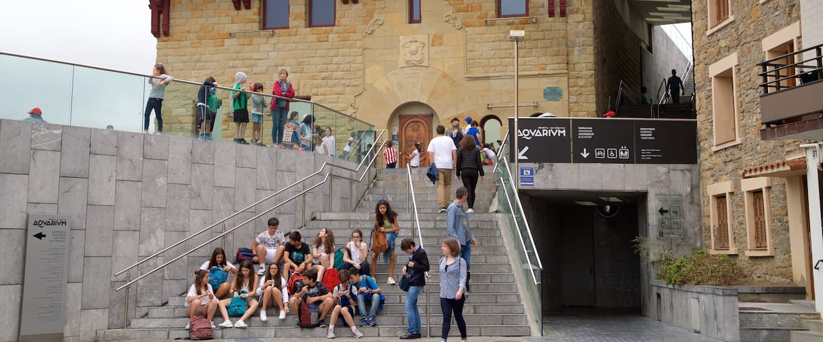 Donostia-San Sebastian Aquarium as well as a small group of people