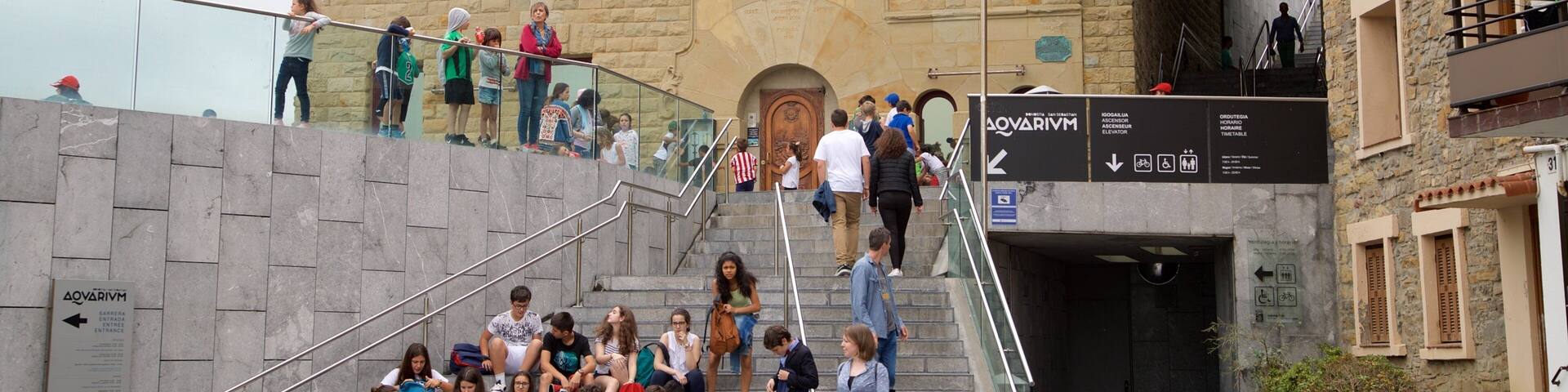 Donostia-San Sebastian Aquarium as well as a small group of people