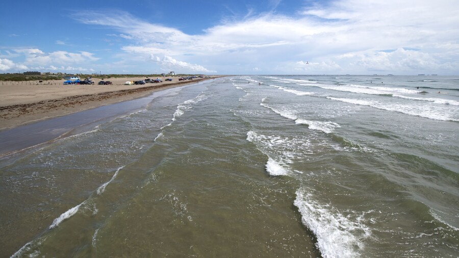 モリービーティー沿岸生息コミュニティ