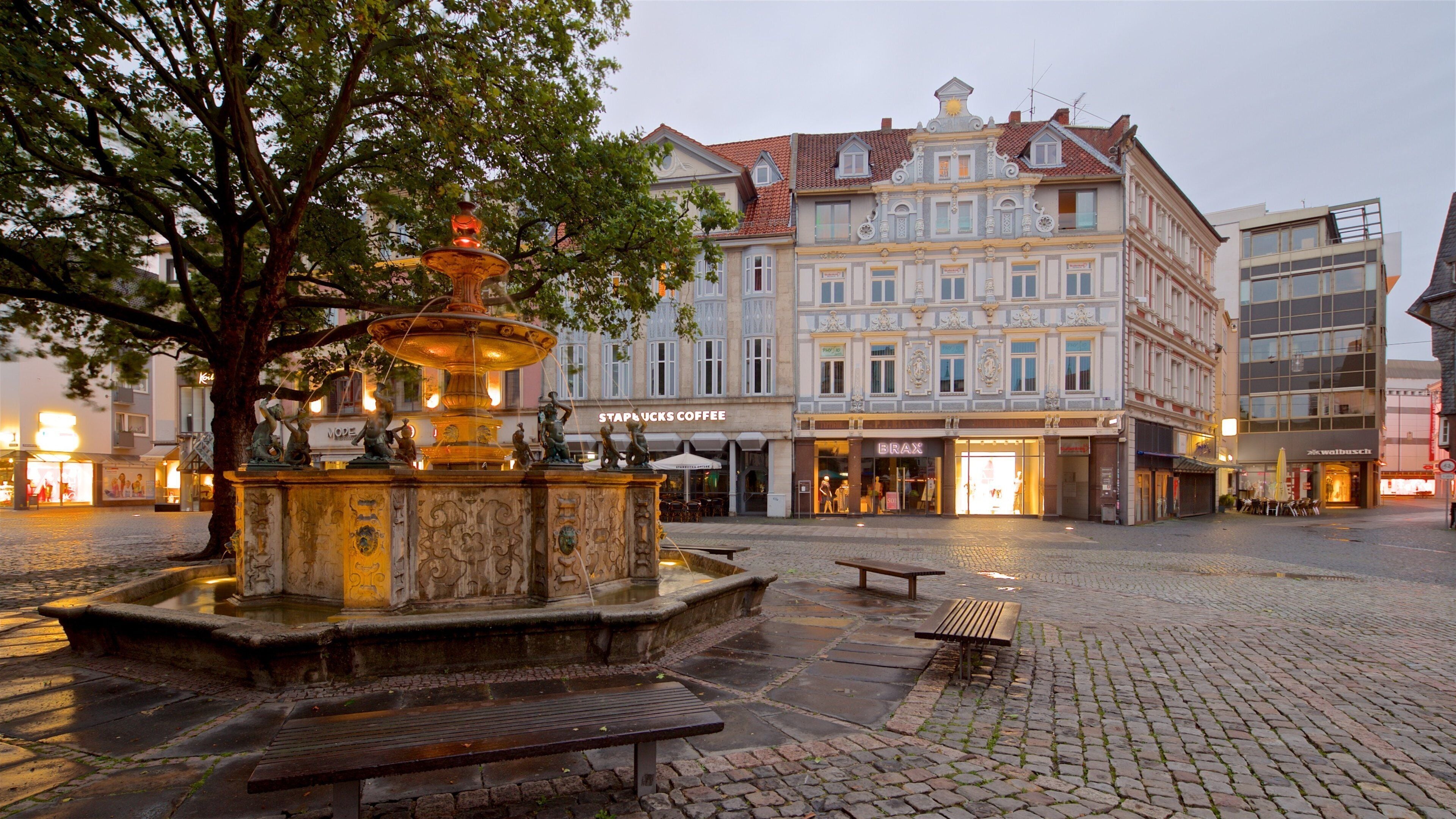 Braunschweig Farmers Market featuring heritage elements, a city and a fountain