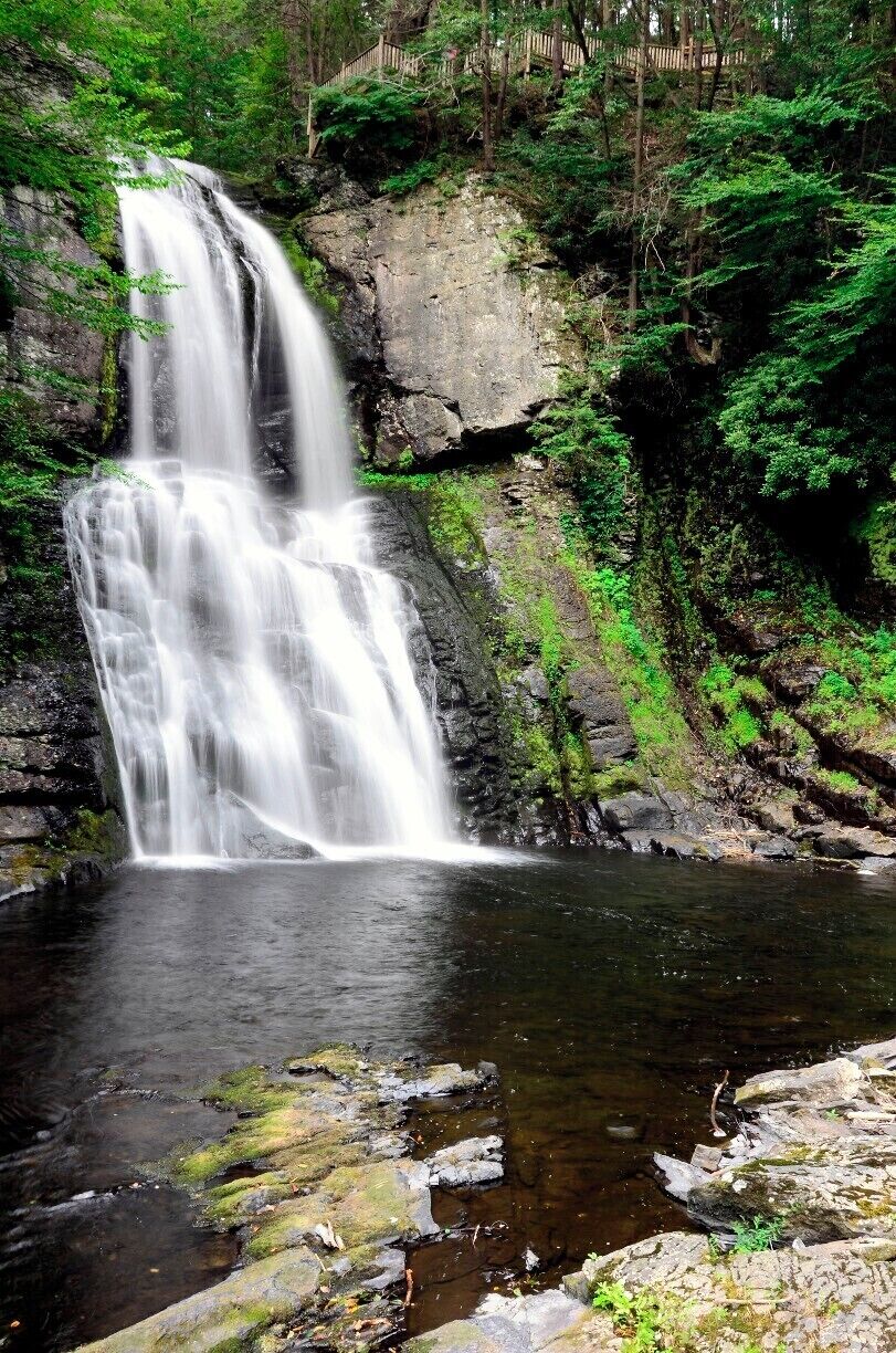 A waterfall cascading over rocks into a pool surrounded by lush greenery.
