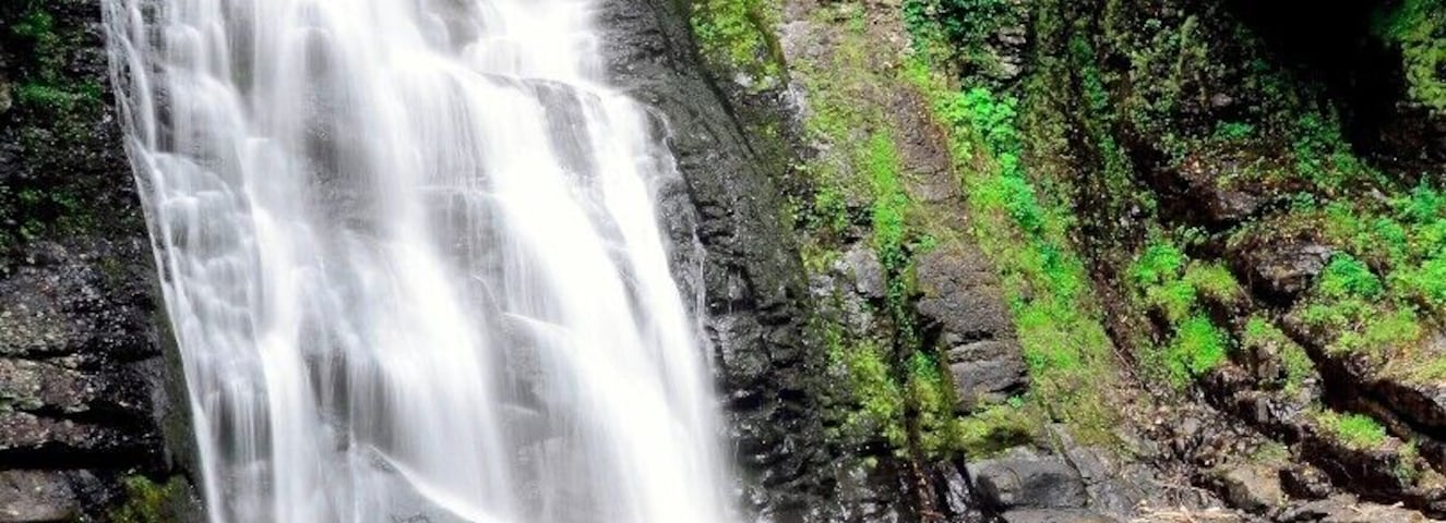 Uma cascata despencando sobre rochas em direção a um lago cercado por vegetação exuberante.