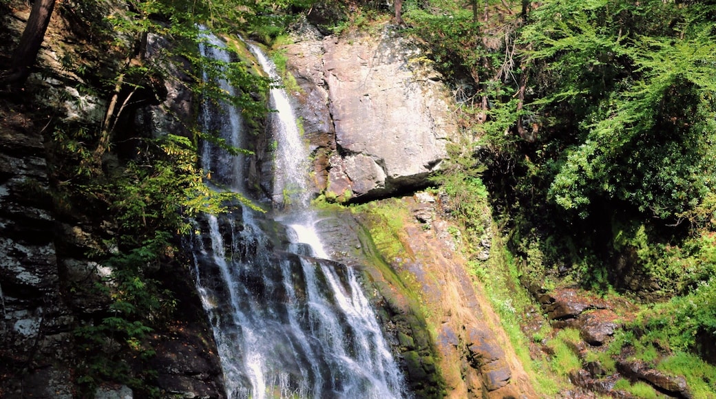 Bushkill falls upclose! 15-min hike and then this!