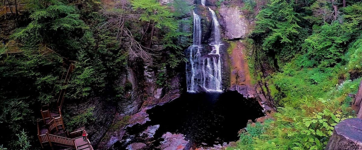 Une cascade entourée d’une forêt dense.