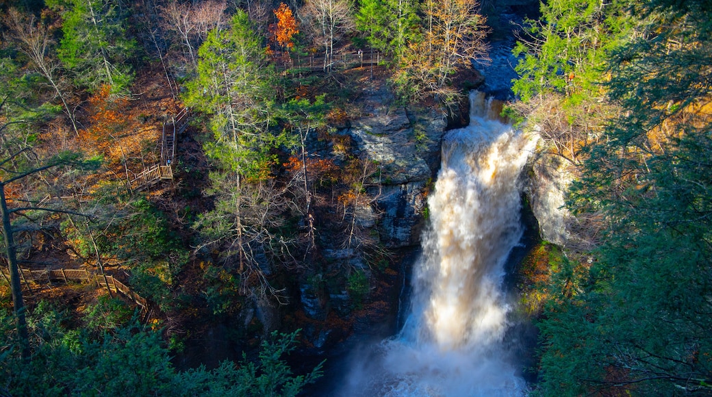 Bushkill falls PA, USA .