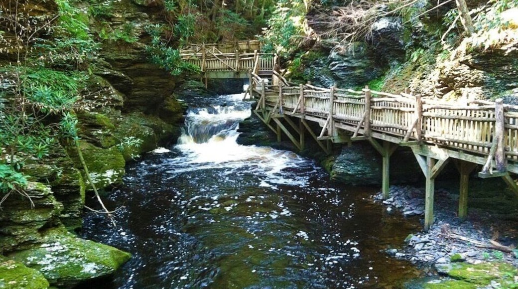 Easy walk along side waterfalls