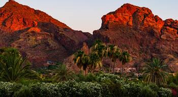 ํ๋ผ๋ค์ด์ค ๋ฐธ๋ฆฌ ๋น๋ฆฌ์ง