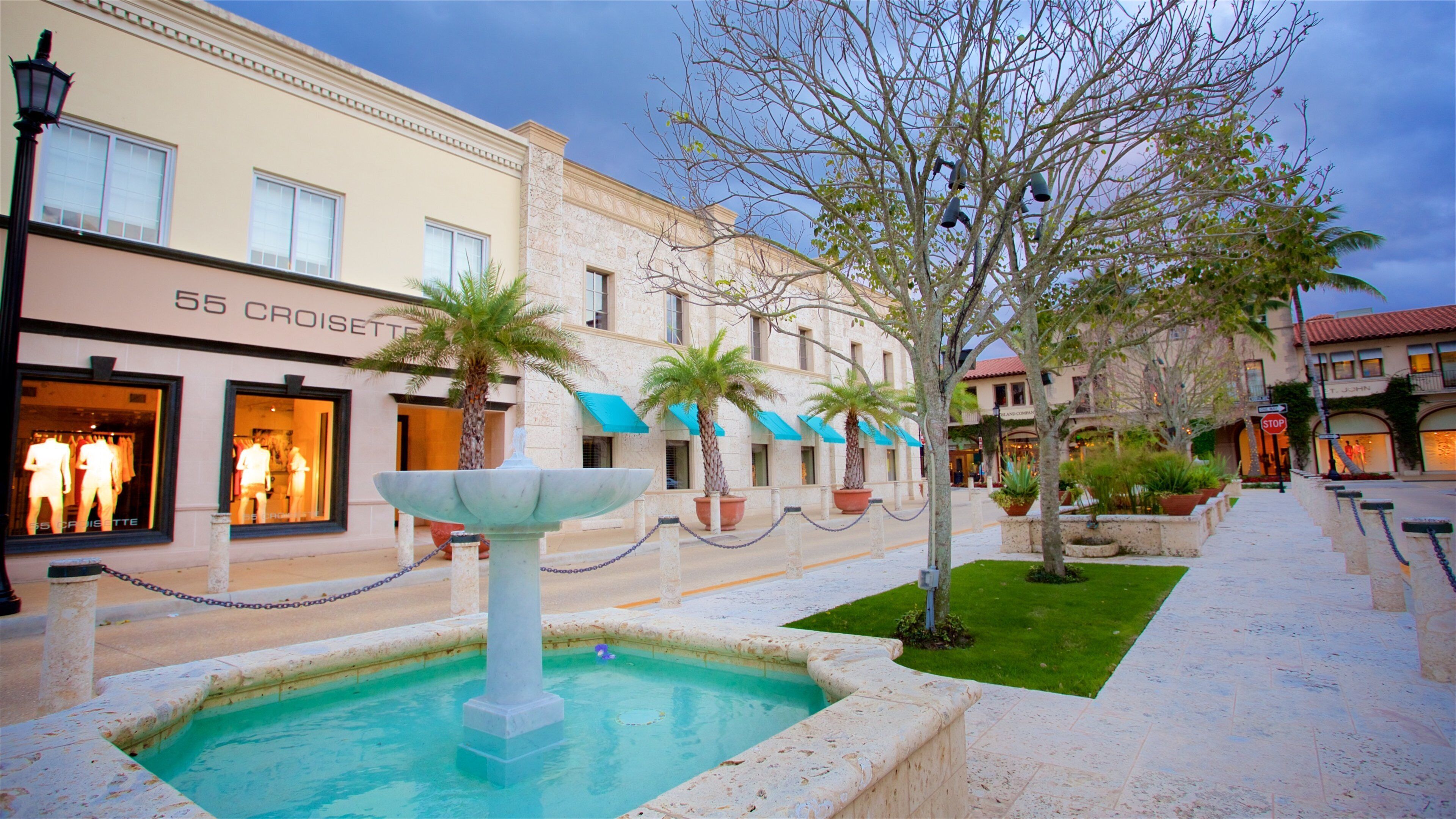 Worth Avenue montrant jardin, shopping et fontaine