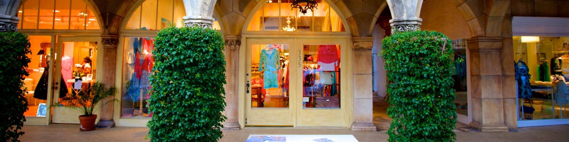 Worth Avenue featuring shopping