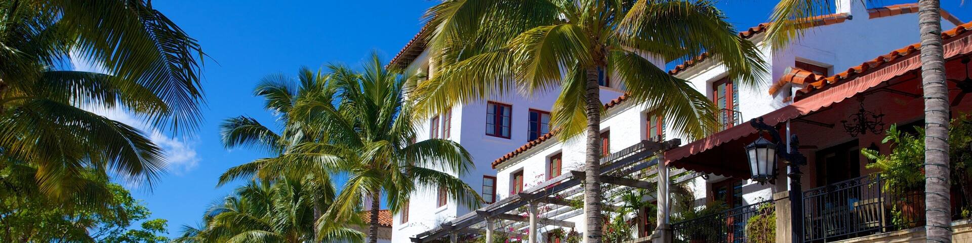 Worth Avenue which includes street scenes and a city