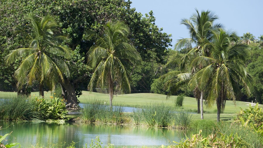 Club de golf de Cayo Hueso (Key West)