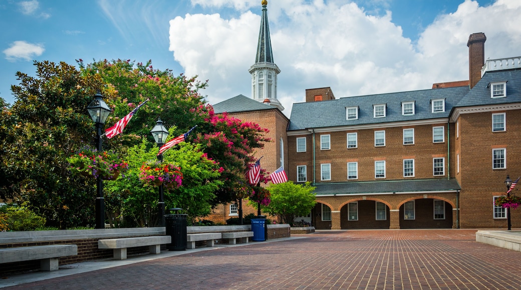 Market Square and City Hall, in Old Town, Alexandria, Virginia.