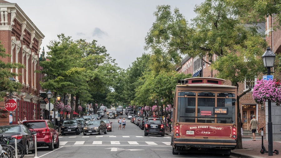 ย่านเมืองเก่าอเล็กซานเดรีย