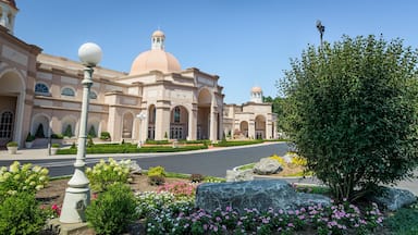 Lancaster featuring heritage architecture, a park and flowers