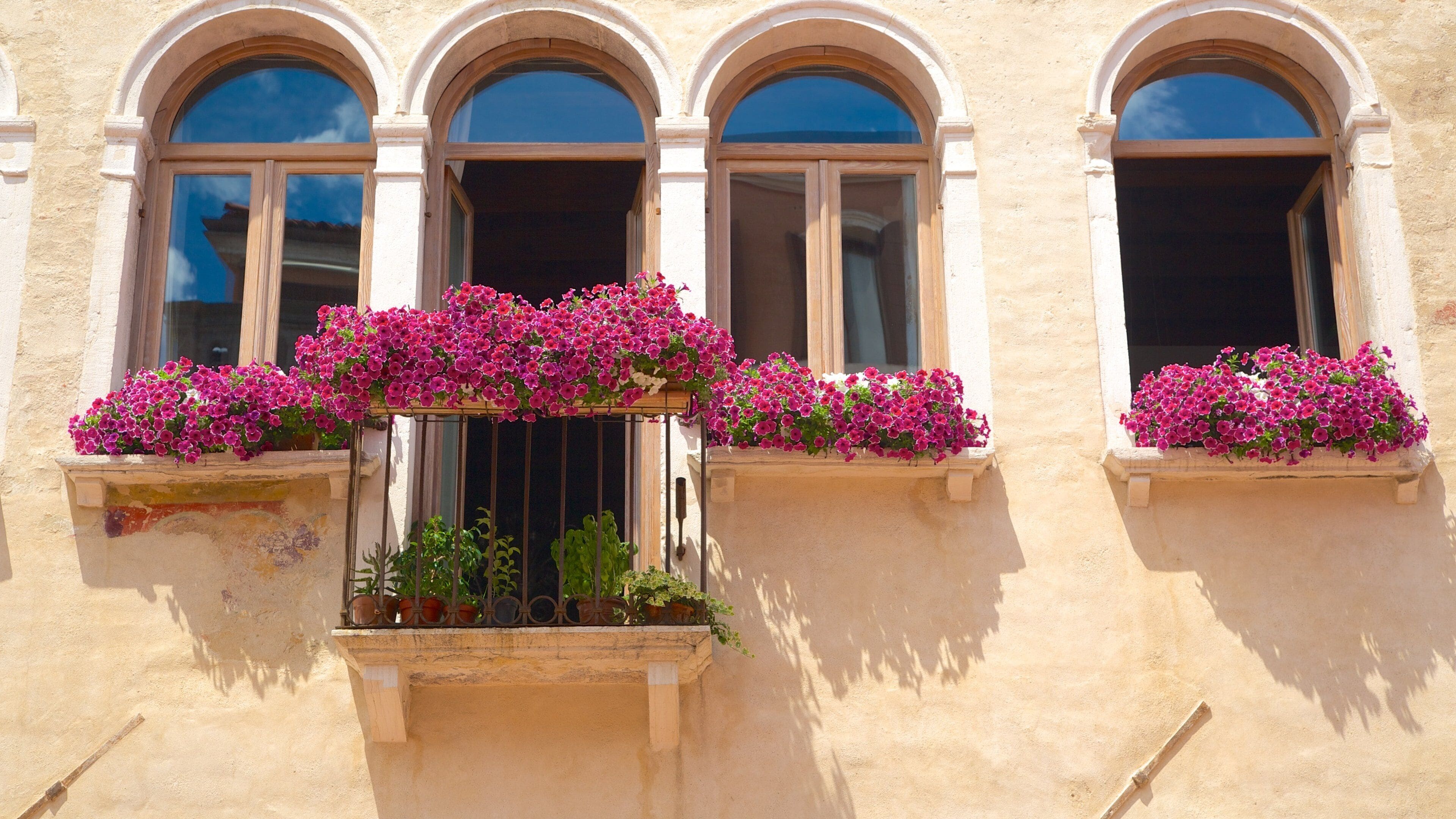 Ferretto Square showing a house, flowers and wildflowers