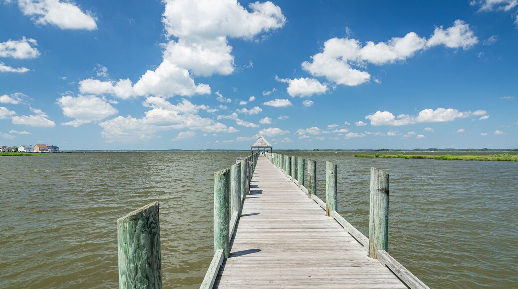 Northside Park which includes a lake or waterhole