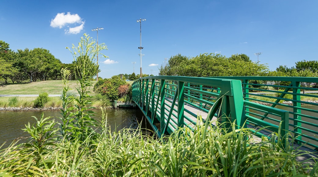Northside Park which includes a bridge and a river or creek