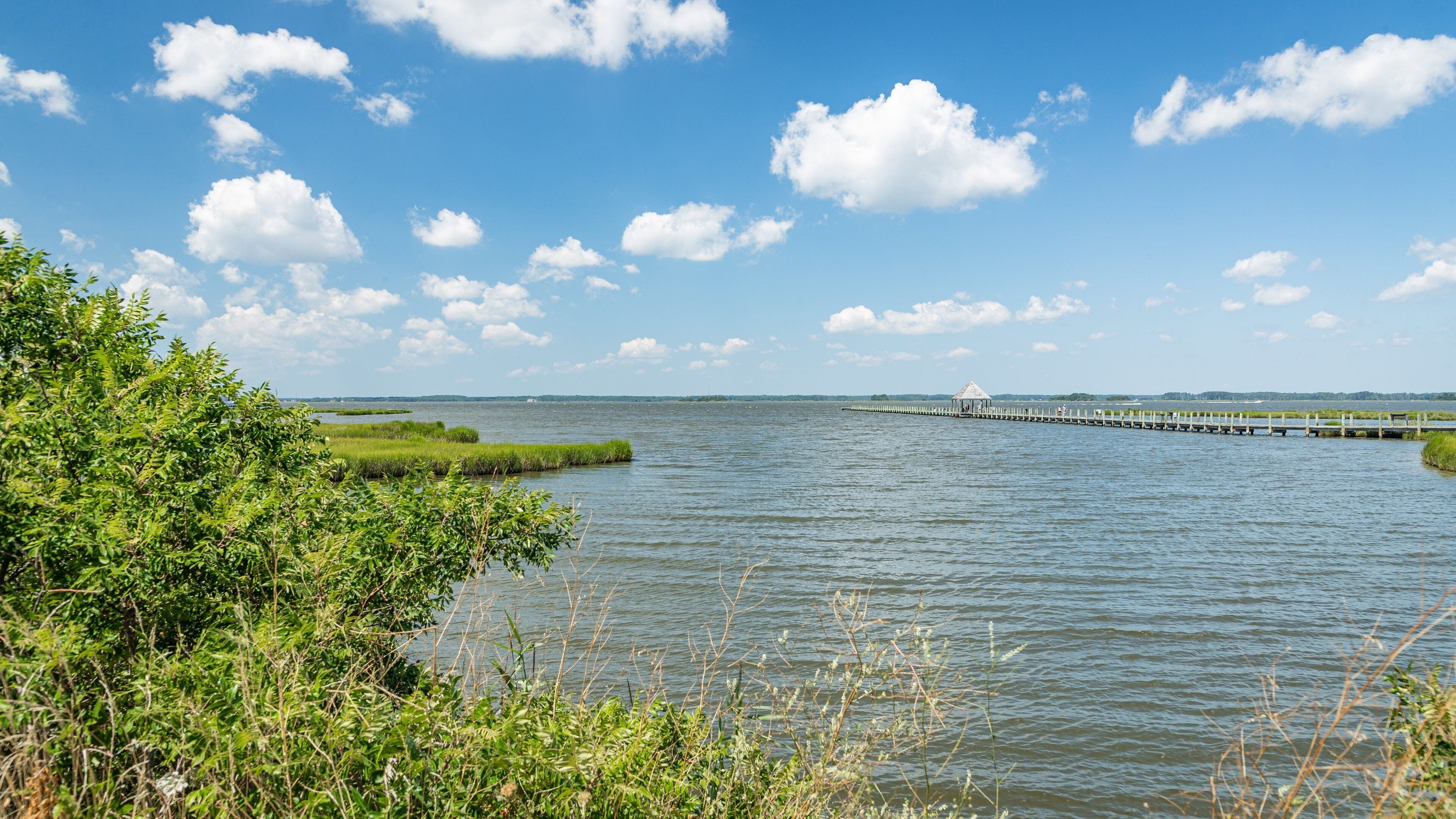 Northside Park showing wetlands