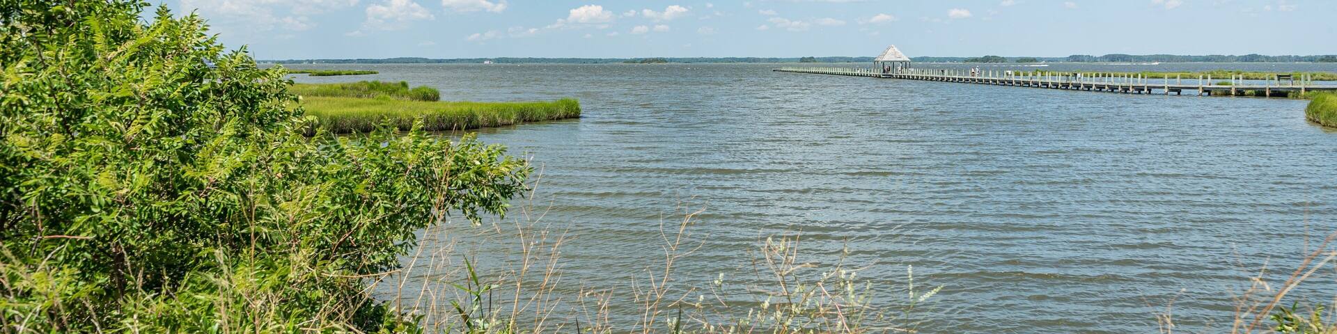 Northside Park showing wetlands