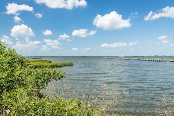 Northside Park showing wetlands