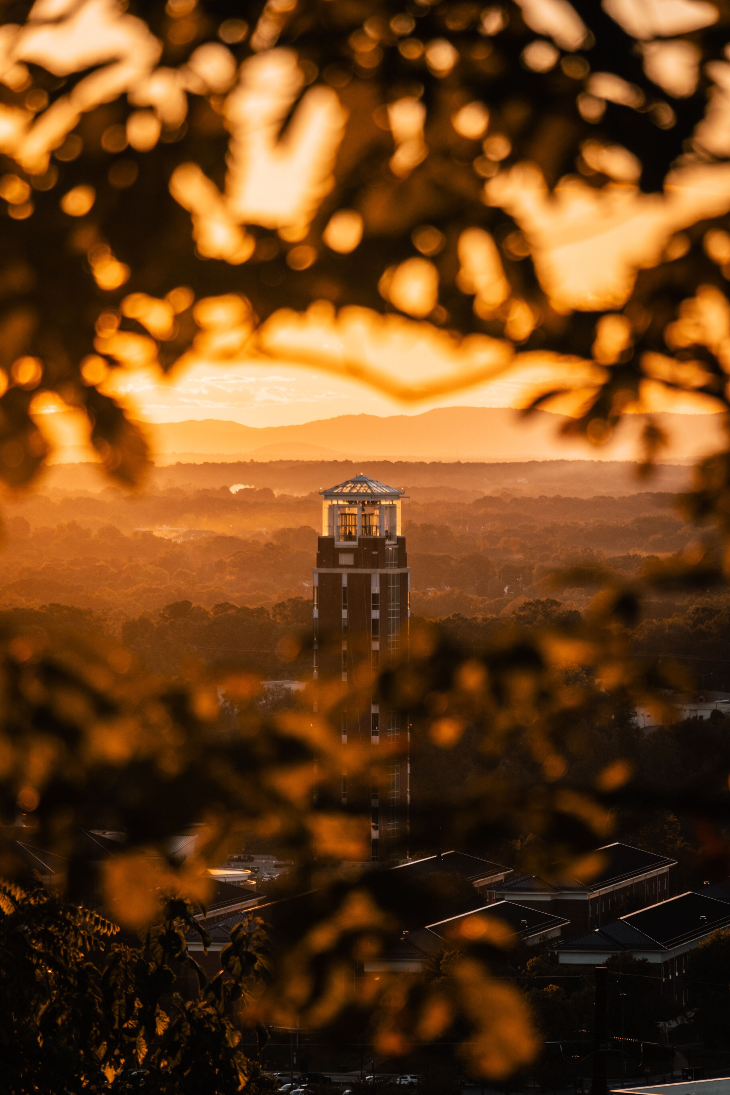 Liberty University