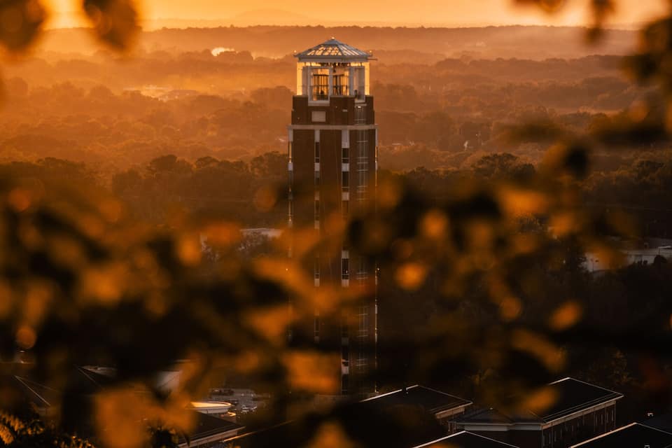 Una torre con tetto in vetro, circondata da alberi e con un tramonto sullo sfondo.