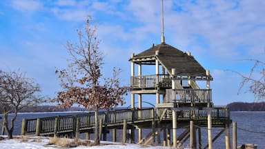 Sunset Park is a 250 acre wooded park. It has a 50 acre lake (Lake Potter) that is protected and spills into the Mississippi River. It is also the start of the Quad Cities' 65 mile bike path that runs along the Mississippi River.