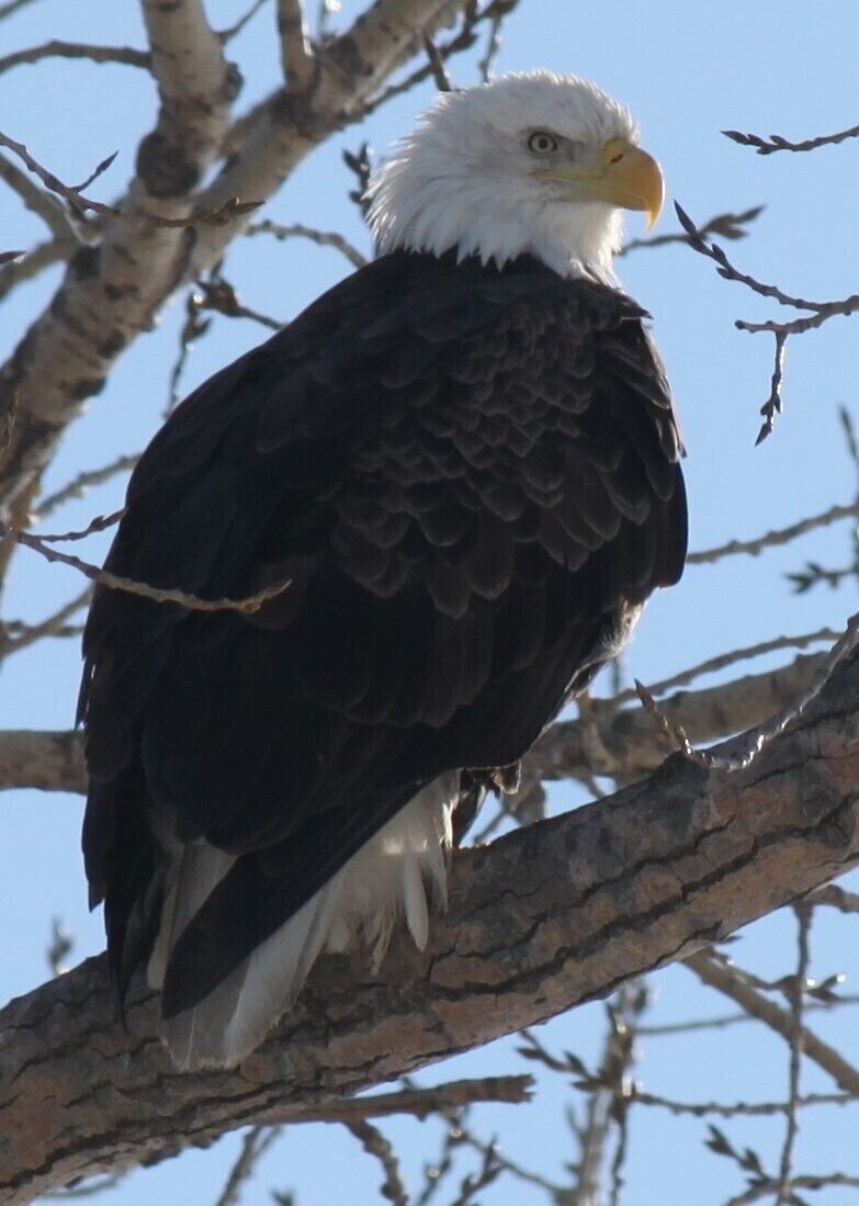 he lives on the beach at sunset marina on the Mississippi river......."#beach"