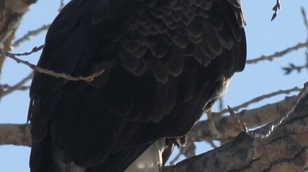 he lives on the beach at sunset marina on the Mississippi river......."#beach"