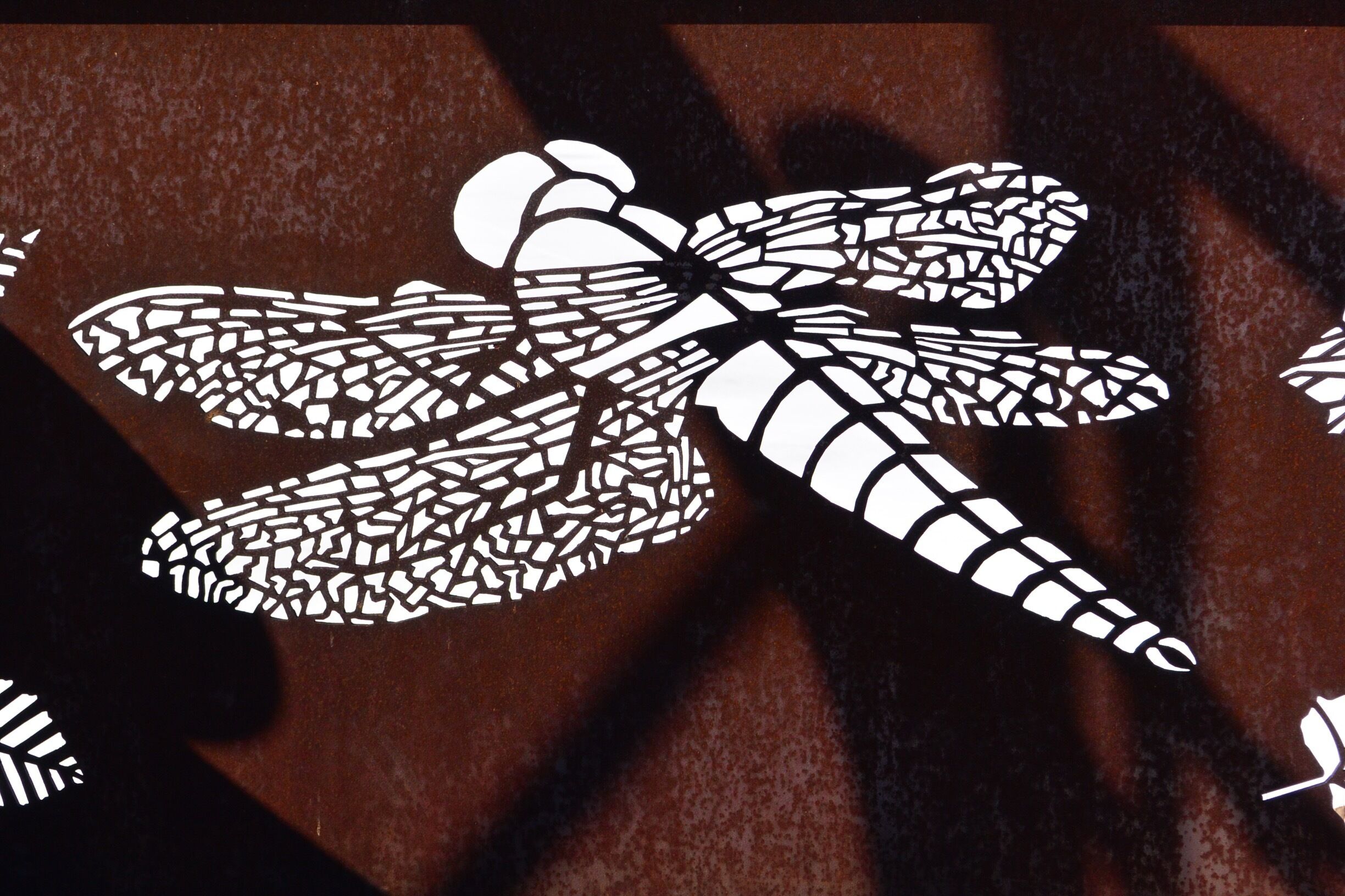 This is the dragonfly section of an interpretive art display along the Mississippi River.  The display shows common insects that inhabit the area.  The insects are cut out of thick plate metal.  The white color is snow from the landscape behind it.